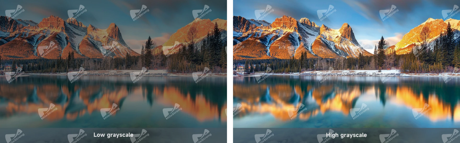 XR LED Solutions — 14