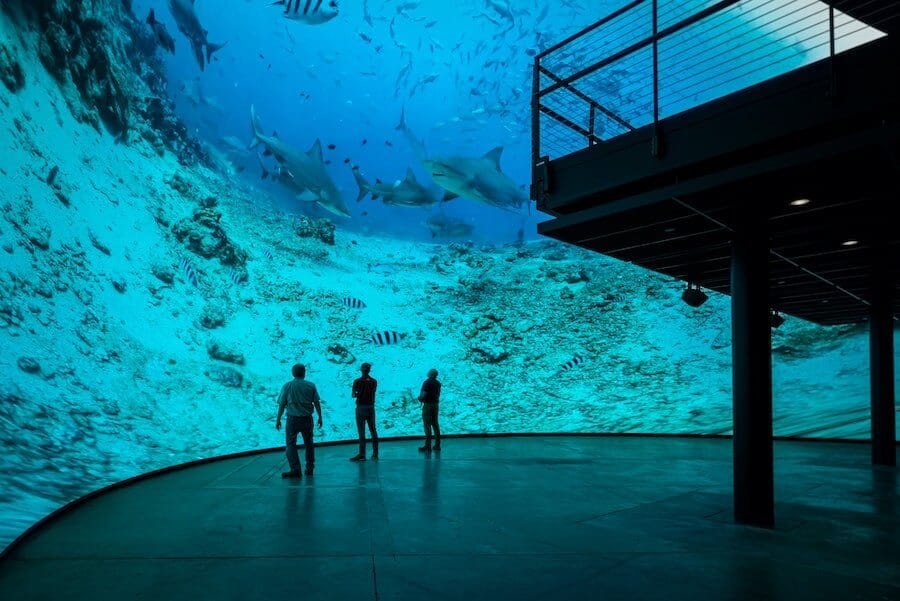 Immersive Experience Systems